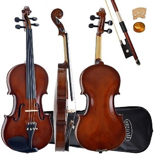 VIOLINO 3/4 HOYDEN - Cremona